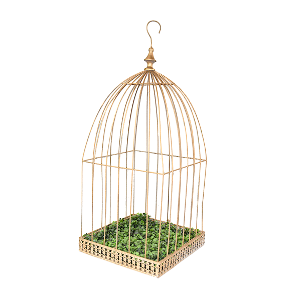 Cage d'oiseau dorée